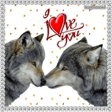 влюбленные волки